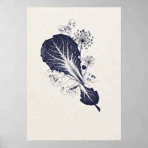 Indigo-Blatt-Lunaria-Allium-Botanik-Studienposter Poster