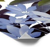 Indigo-Blätter, Pflanze-Poster Poster (Ecke)