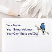 Indigo Bunting (Insitu)