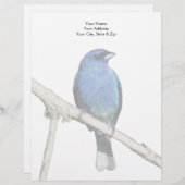 Indigo Bunting Briefbogen (Vorne/Hinten)