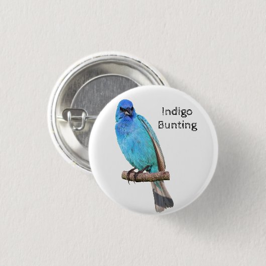 Indigo Bunting Button (Vorne & Hinten)
