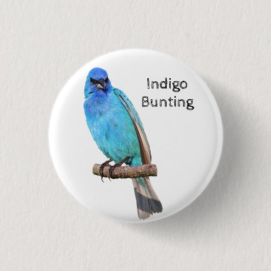 Indigo Bunting Button (Vorderseite)