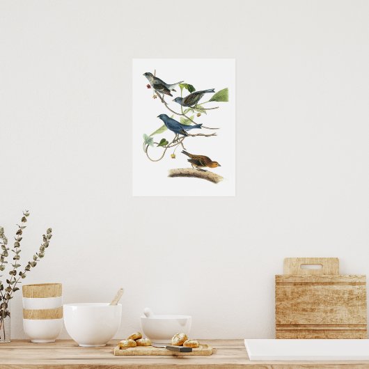 Indigo Bunting by Audubon Poster (Küche)
