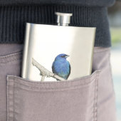 Indigo Bunting Flachmann (Beispiel)