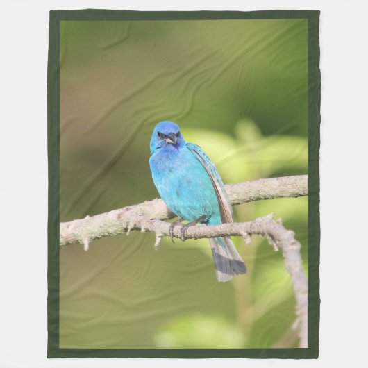 Indigo Bunting Fleecedecke (Vorderseite)