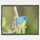 Indigo Bunting Fleecedecke (Vorderseite (Horizontal))