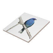 Indigo Bunting Fliese (Seite)