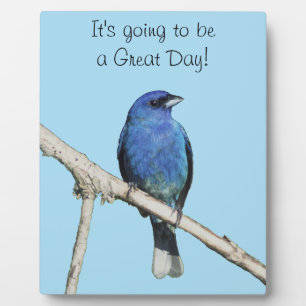 Indigo Bunting Fotoplatte