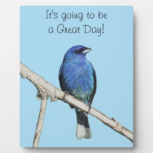 Indigo Bunting Fotoplatte (Vorderseite)