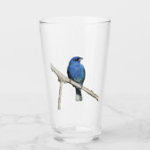 Indigo Bunting Glas (Vorderseite)