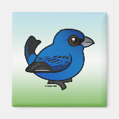 Indigo Bunting Magnet (Vorne)