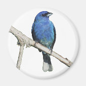 Indigo Bunting Magnet (Vorne)