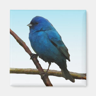 Indigo Bunting Magnet
