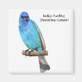 Indigo Bunting Magnet (Vorne)