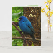 Indigo Bunting Mother's Day Karte (Gelbe Blume)