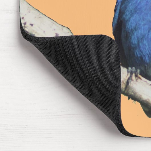 Indigo Bunting Mousepad (Ecke)