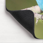 Indigo Bunting Mousepad (Ecke)