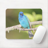 Indigo Bunting Mousepad (Mit Mouse)