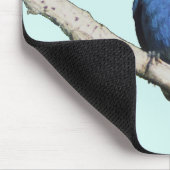 Indigo Bunting Mousepad (Ecke)