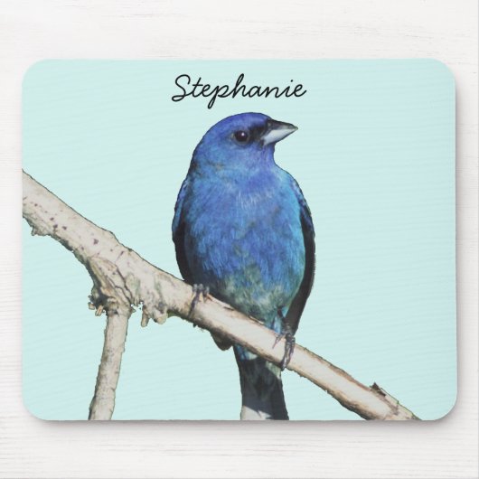 Indigo Bunting Mousepad (Vorne)