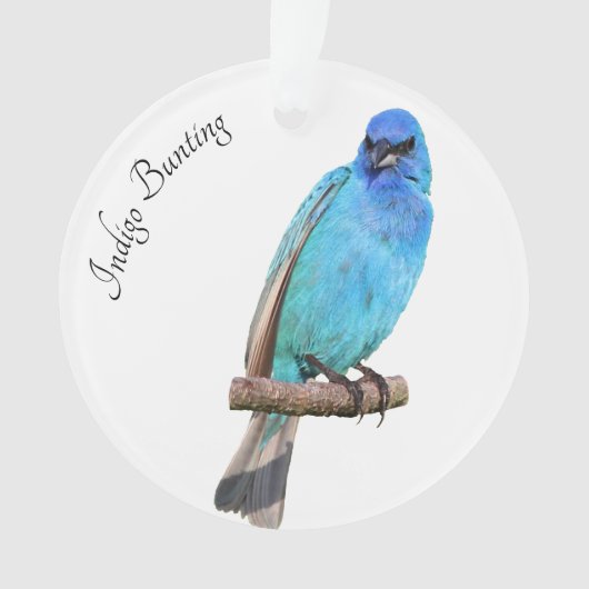 Indigo Bunting Ornament (Vorderseite)