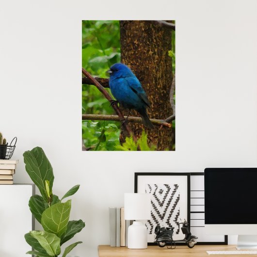 Indigo Bunting Poster (Heimbüro)
