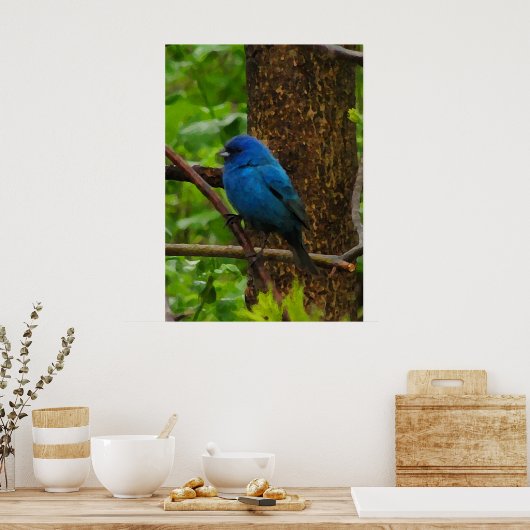 Indigo Bunting Poster (Küche)