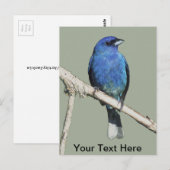 Indigo Bunting Postkarte (Vorne/Hinten)