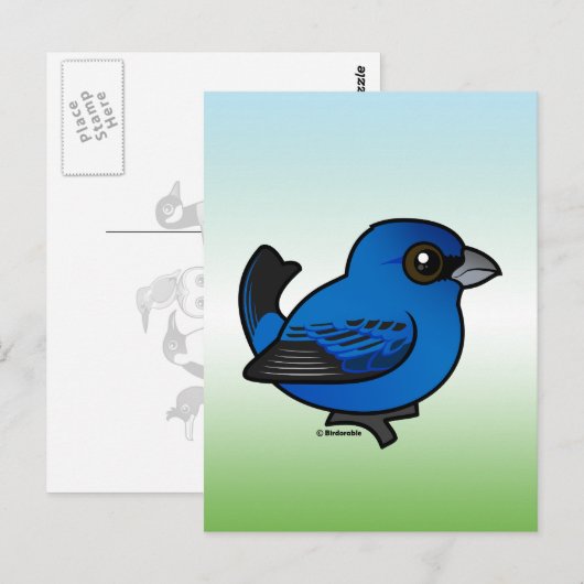 Indigo Bunting Postkarte (Vorne/Hinten)