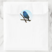 Indigo Bunting Runder Aufkleber (Tasche)