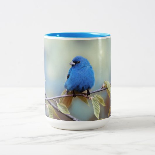 Indigo Bunting Tasse (Mittel)
