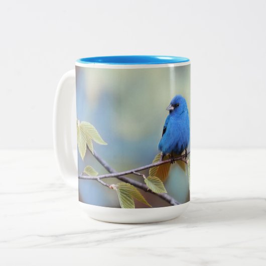 Indigo Bunting Tasse (Vorderseite Links)