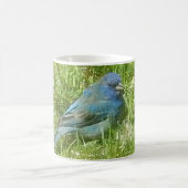 Indigo Bunting Tasse (Mittel)