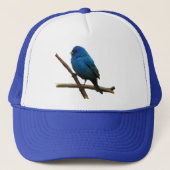 Indigo Bunting Truckerkappe (Vorderseite)