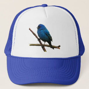 Indigo Bunting Truckerkappe