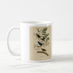 Indigo Bunting von Audubons Vögeln in Amerika Kaffeetasse
