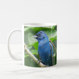 Indigo Buntings Kaffeezubereitung durch BirdingCol Kaffeetasse