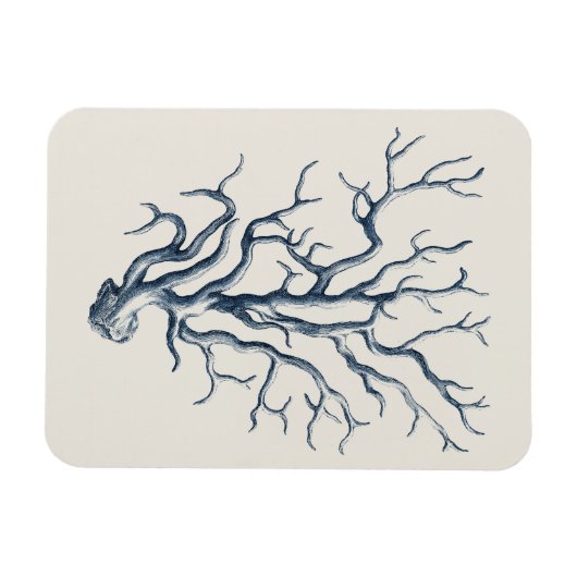 Indigo Coral Magnet (Horizontal)