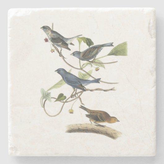 Indigo-Flagge durch Audubon Steinuntersetzer (Vorderseite)