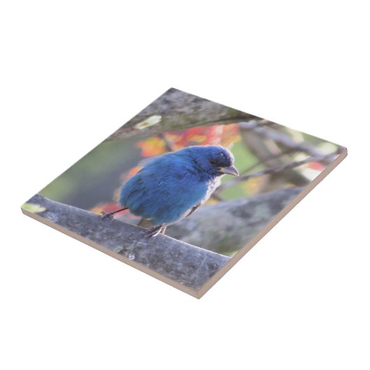 Indigo-Flagge Fliese (Seite)