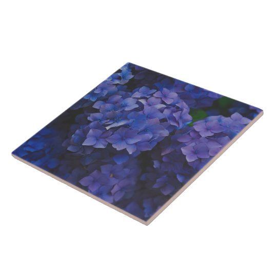 Indigo Hydrangea Dusk Decorative Ceramic Tile Fliese (Seite)