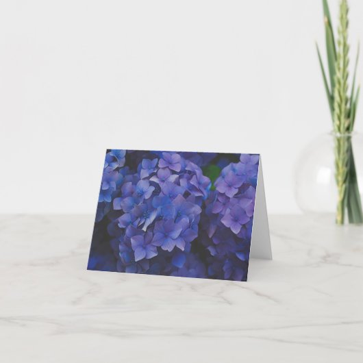 Indigo Hydrangea Dusk Note Card Dankeskarte (Vorderseite)