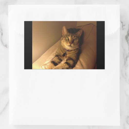 Indigo Model-Pose Rechteckiger Aufkleber (Tasche)