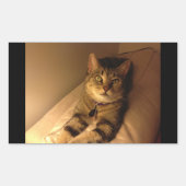 Indigo Model-Pose Rechteckiger Aufkleber (Vorderseite)