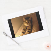 Indigo Model-Pose Rechteckiger Aufkleber (Umschlag)