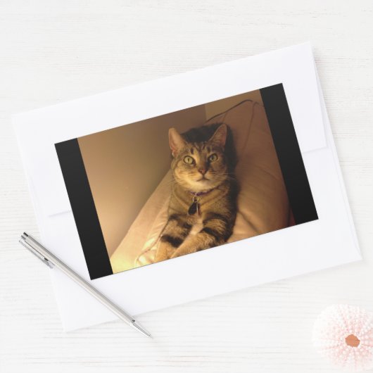 Indigo Model-Pose Rechteckiger Aufkleber (Umschlag)