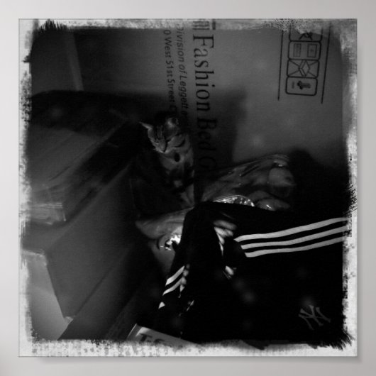 Indigo Moving Helper Poster (Vorne)