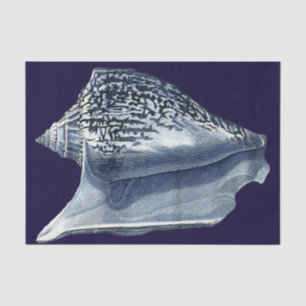 Indigo-Muscheln I Seidenpapier