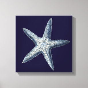 Indigo-Muscheln IV Leinwanddruck