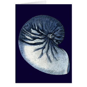 Indigo-Muscheln VII